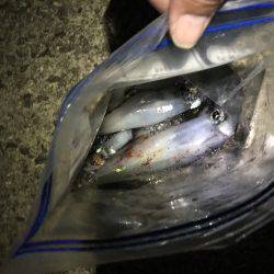 デカいか求めて!