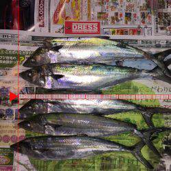 1年振りのWヘッダー‼️