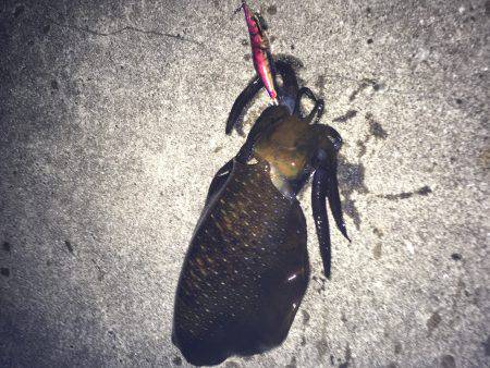 深夜からのランガン