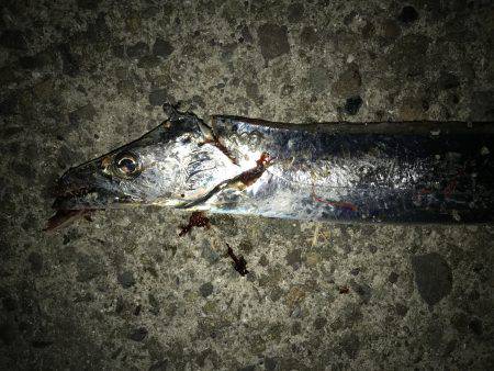 渋いなかの…。