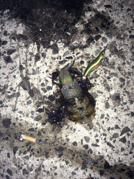 オールリリース…