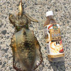 ランガンする元気も無く