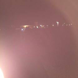 青物不発の剣先イカ健在