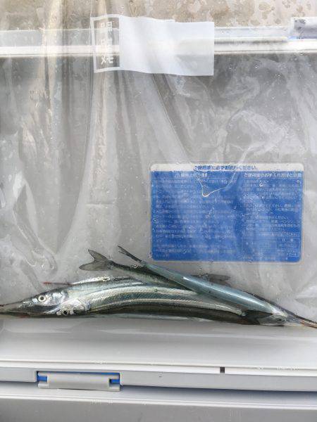 家族でフィッシング