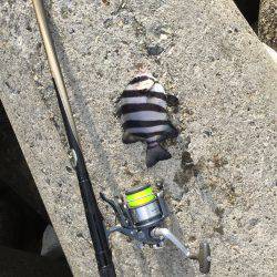 波止フカセ釣り