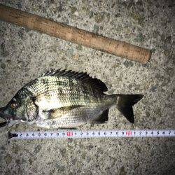 調子乗っちゃって！