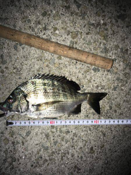 調子乗っちゃって！