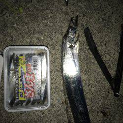 なんとかタチウオ