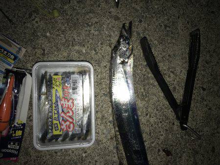 なんとかタチウオ