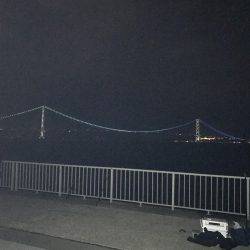 かろうじてタチウオ