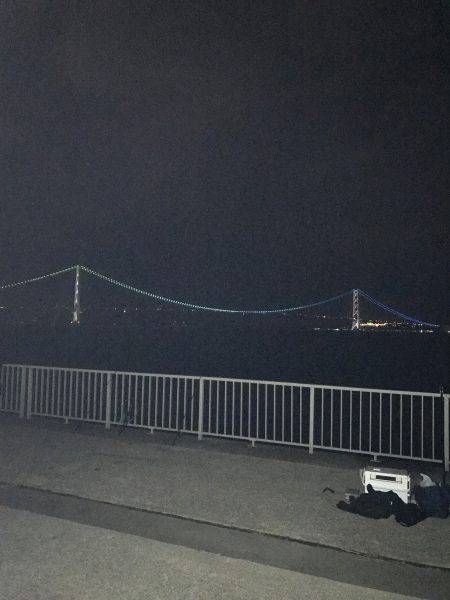 かろうじてタチウオ