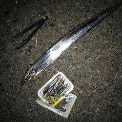 タチウオに変更