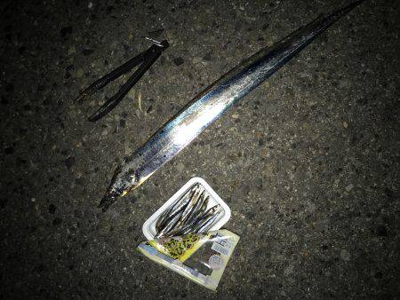 タチウオに変更