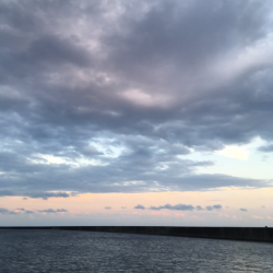 能登エギング好調？