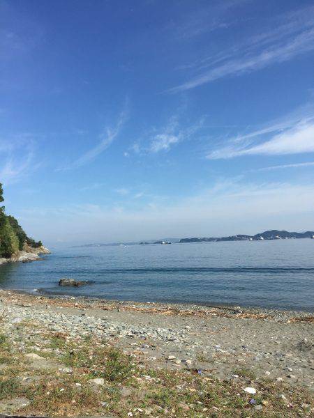 タチウオ引き釣り