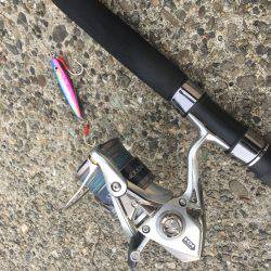 小タチ サーべリング