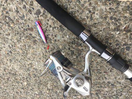 小タチ サーべリング