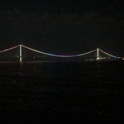 ちっこいアオリ