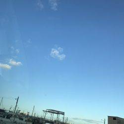 モーニングフィッシュ