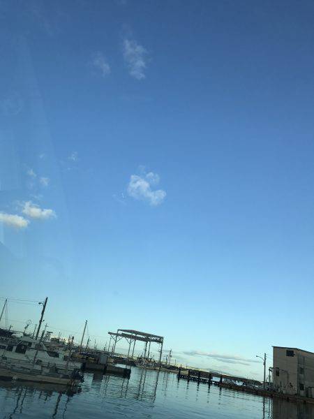 モーニングフィッシュ