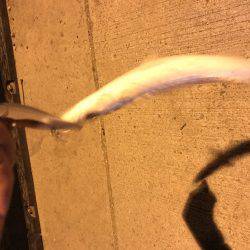 1時間のために。