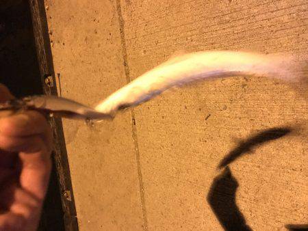 1時間のために。