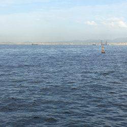 マイポイントで朝練