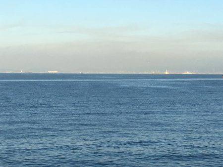 久しぶりのサゴシちゃん♫