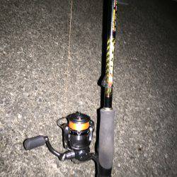 ラストケンサキ