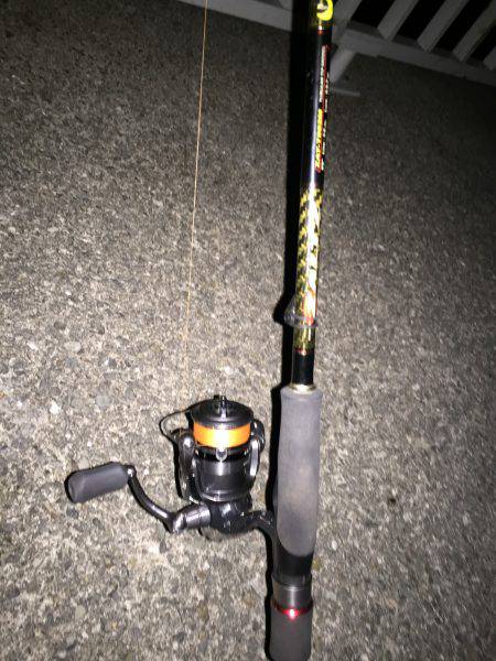 ラストケンサキ