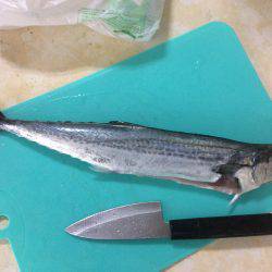 ライトショアジギング