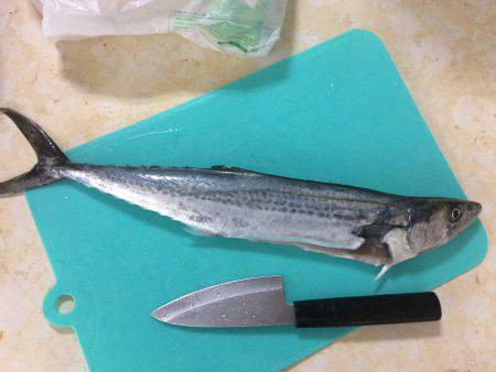 ライトショアジギング