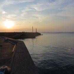 アジ狙いも不発