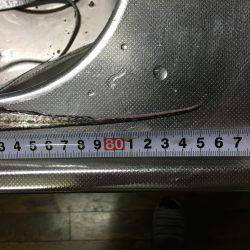 オンスタックル杯出場