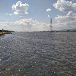 空駆けるシーバス