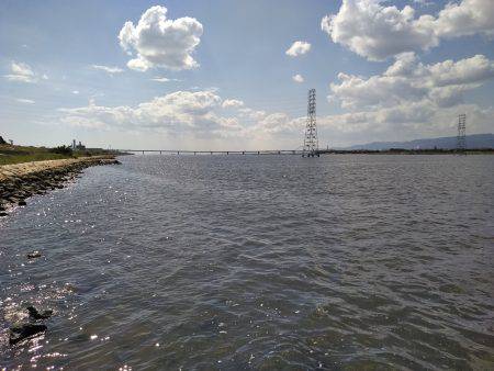 空駆けるシーバス