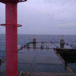 雨天沖堤釣行　爆!