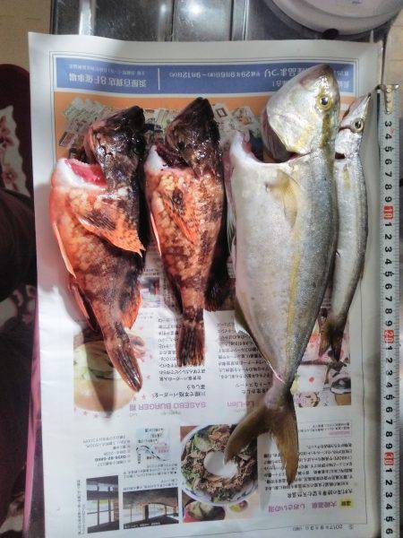 久しぶりのちょい遠征