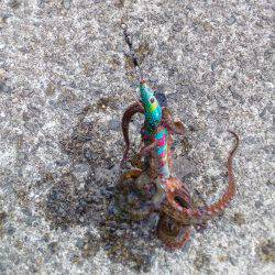 お父さんお母さんを連れてきて！