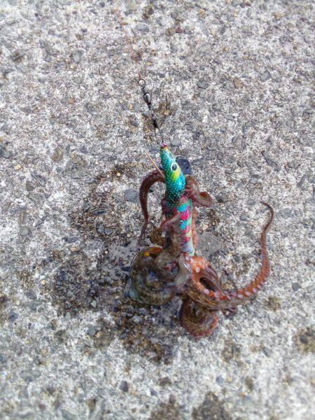 お父さんお母さんを連れてきて！