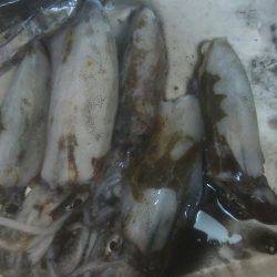 アオリイカ　5杯