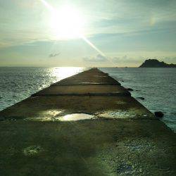 阿南市の辰巳でタチウオ