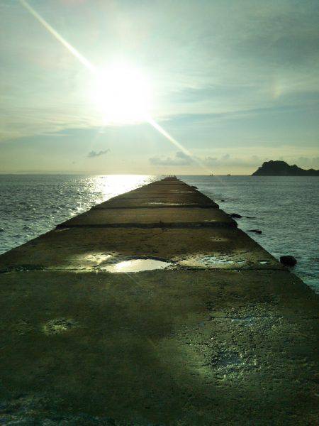 阿南市の辰巳でタチウオ