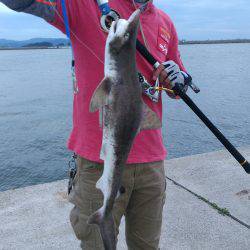 こいつも牙一族なのか