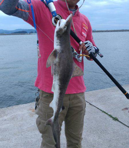 こいつも牙一族なのか