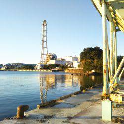 阿南市の答島港でタチウオ