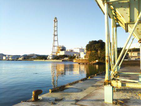 阿南市の答島港でタチウオ