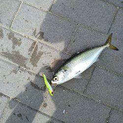 サバーパーティー