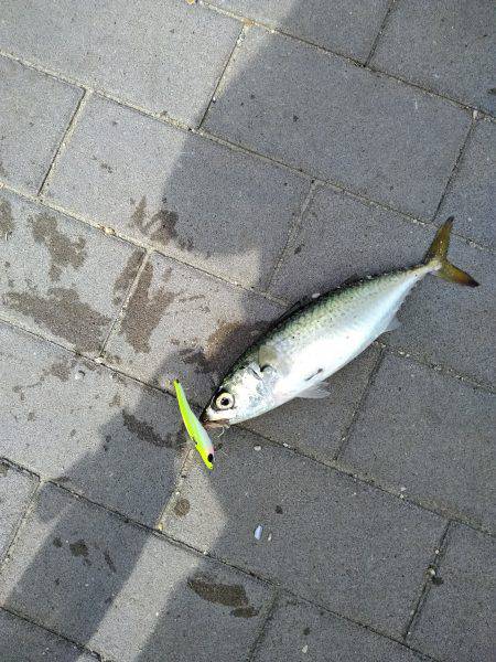 サバーパーティー