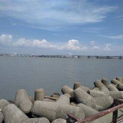 年間10本達成！